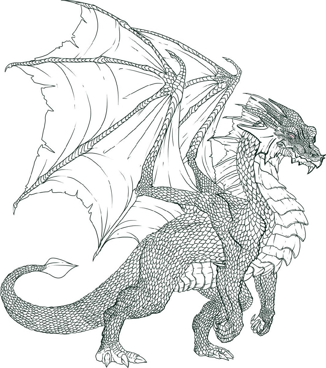 Collection Of Realistic Dragon Coloring Pages Free Printable