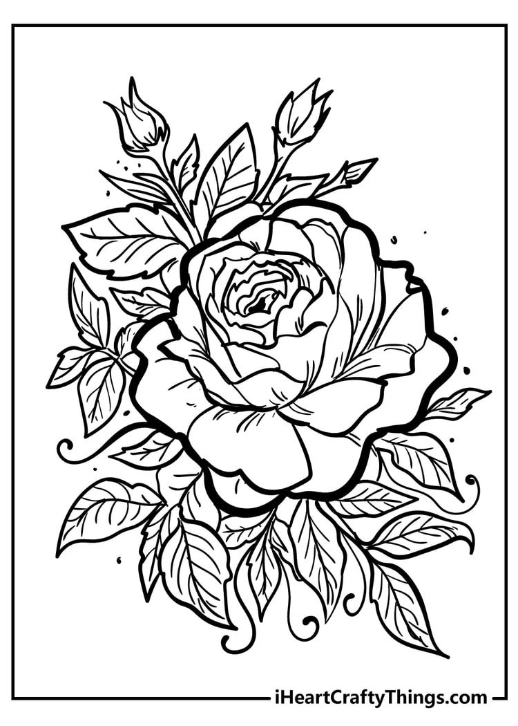 Collection Of Rose Coloring Pages Free Printable Collection Of Rose Coloring Pages Free Printable