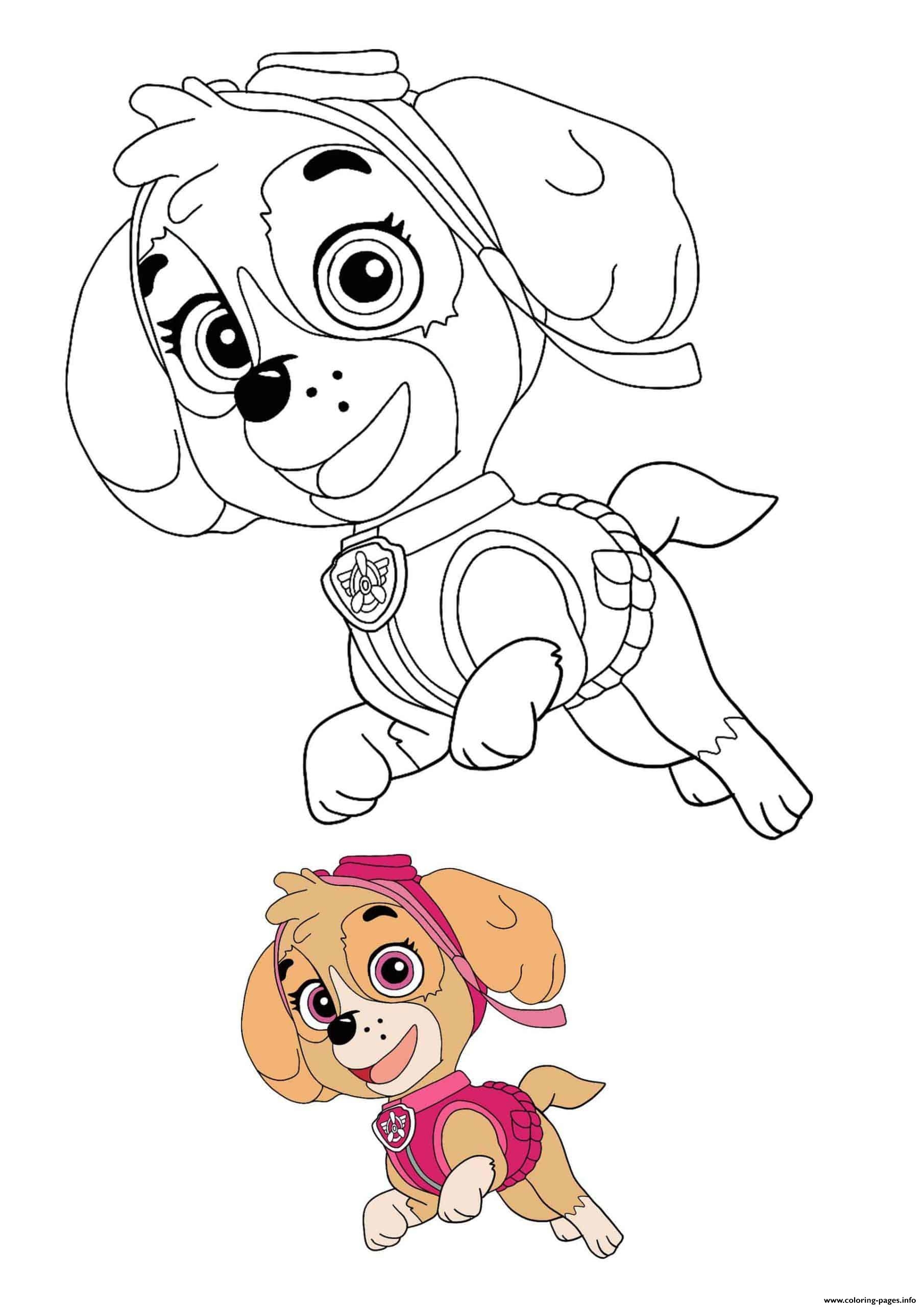 paw patrol skye coloring pages