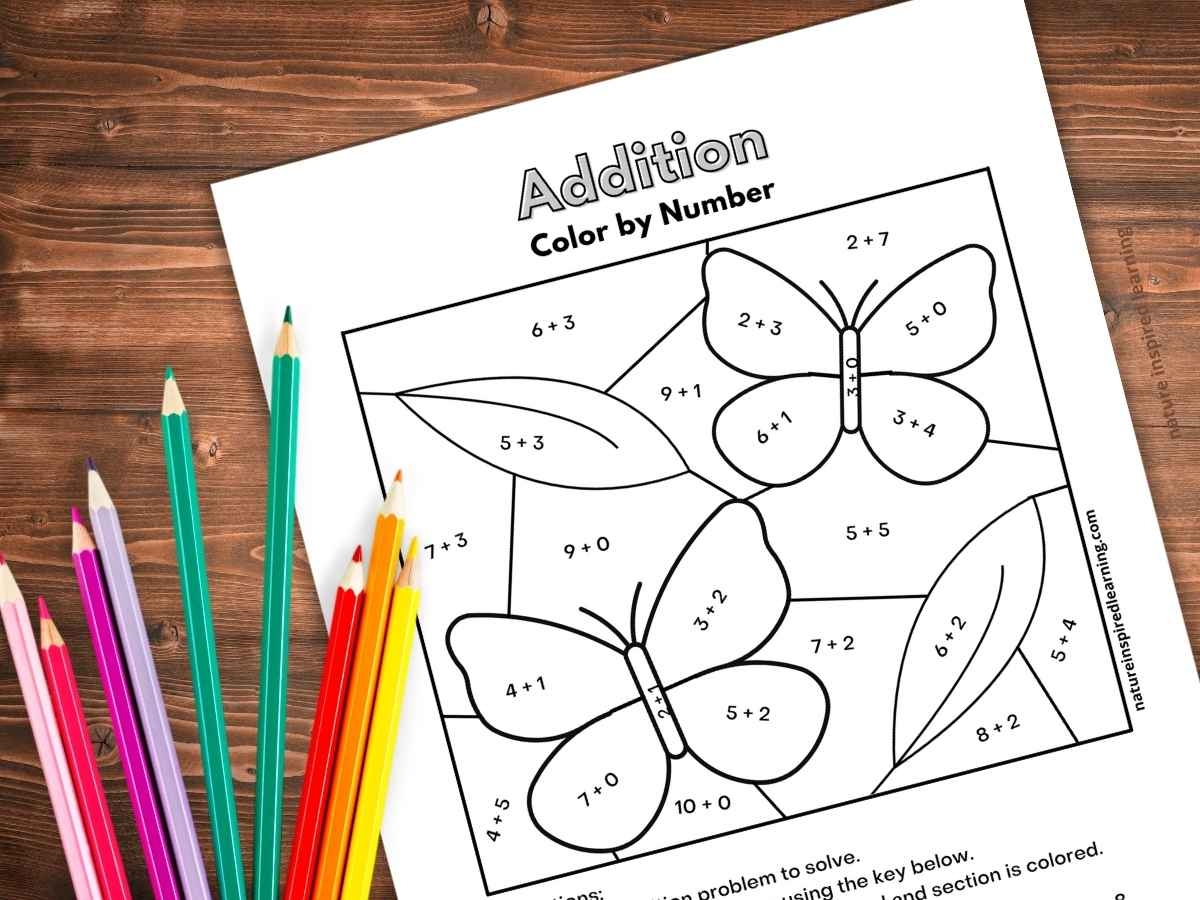 Color By Adding Worksheets Color By Adding Worksheets