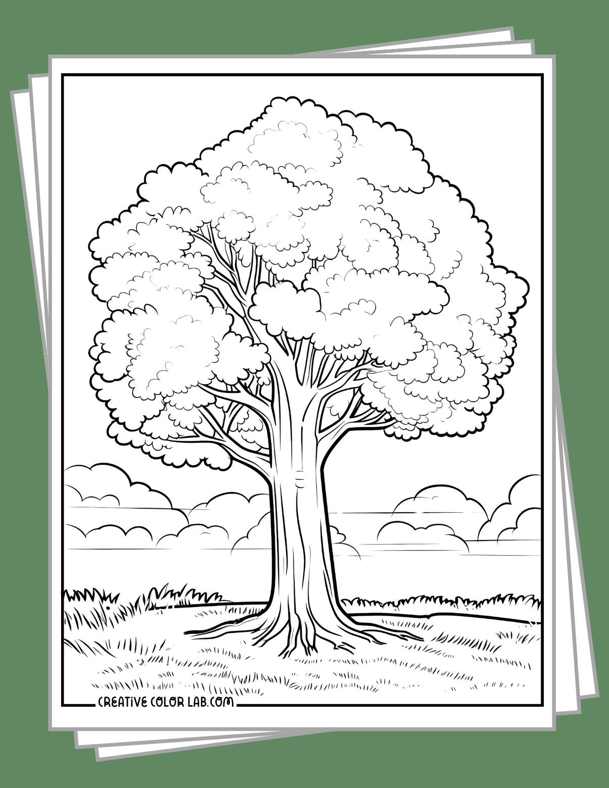 Coloring Pages Of Tree Tree Coloring Book For Adult Forests And Coloring Pages Of Tree Tree Coloring Book For Adult Forests And