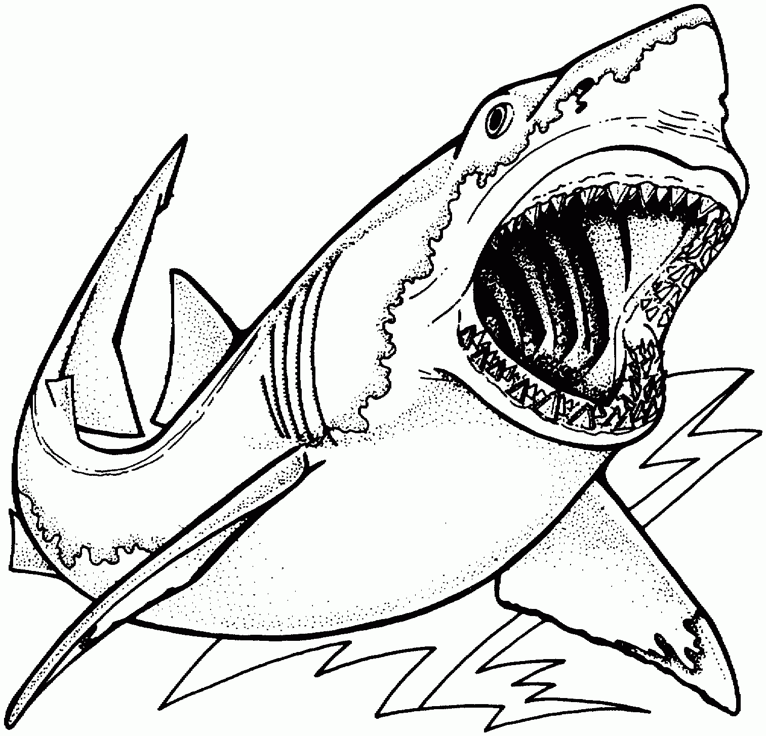 Coloring Pages Shark Coloring Pages Free And Printable