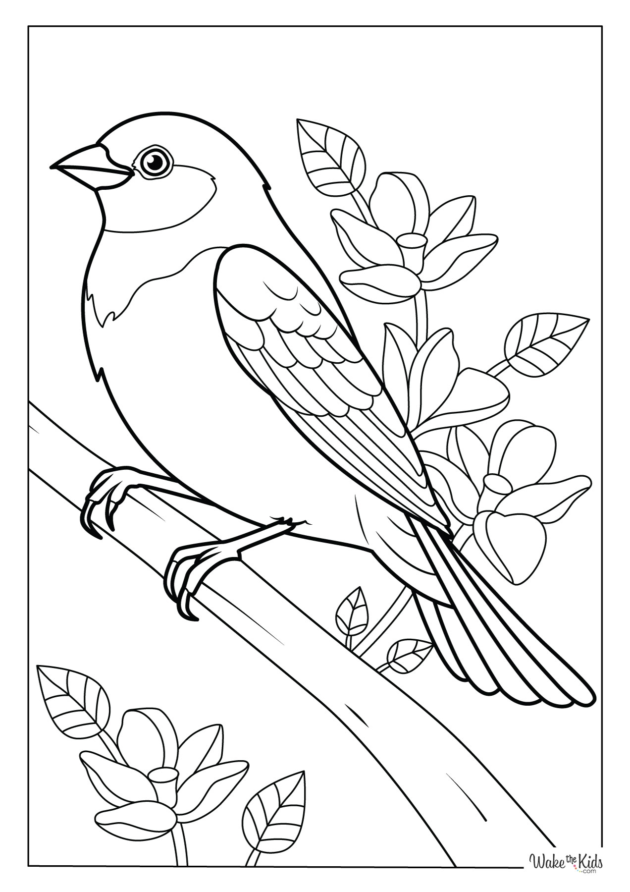 Cool Bird Coloring Pages Cool Bird Coloring Pages