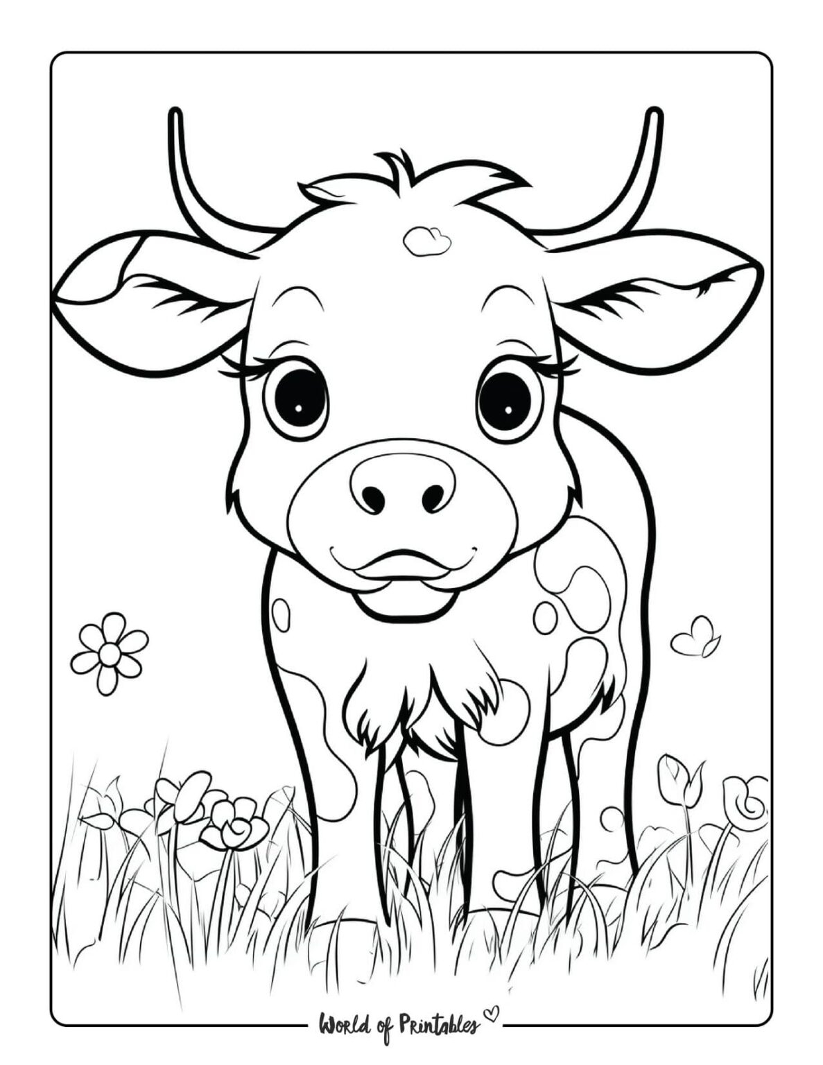 cattle coloring pages