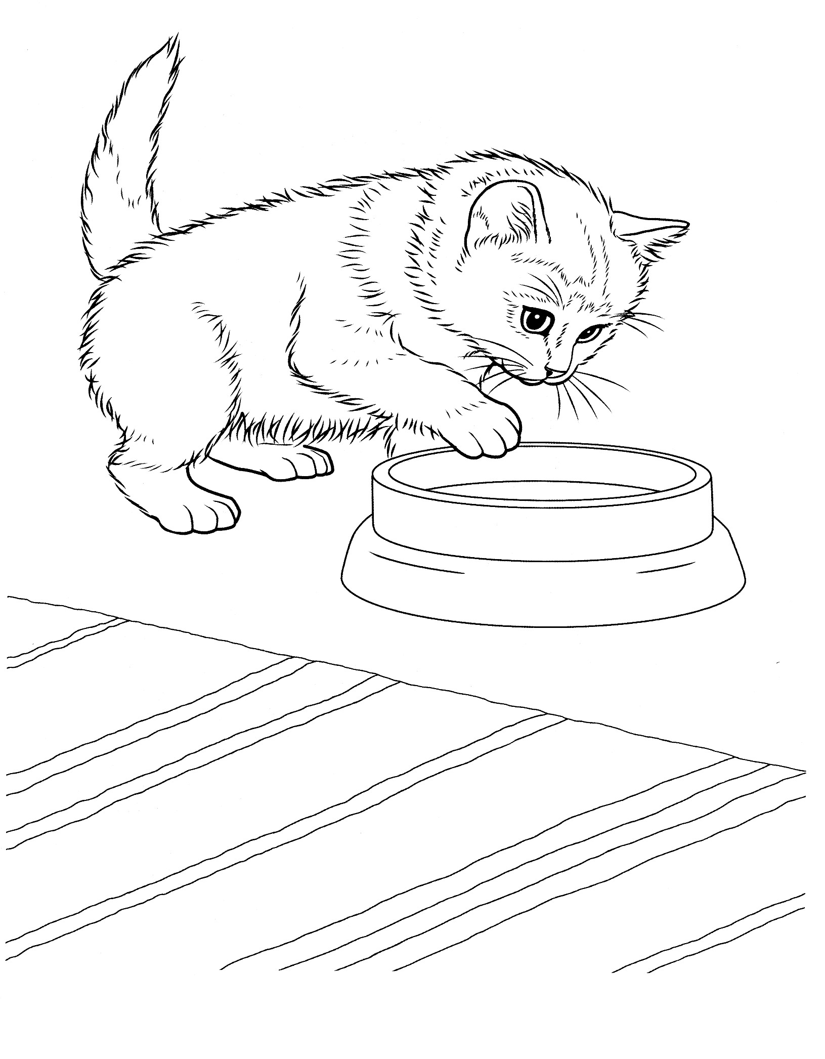 Cute Kitten Coloring Page