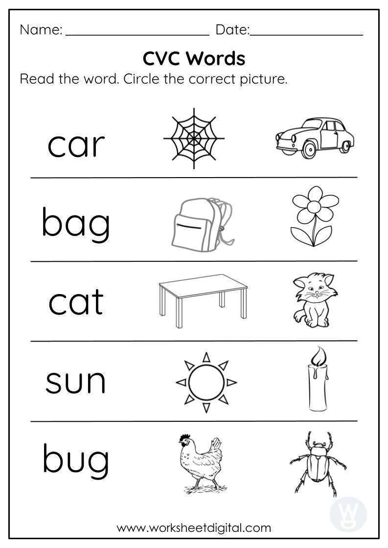 CVC Words Worksheet Primary Resources teacher Made Worksheets Library