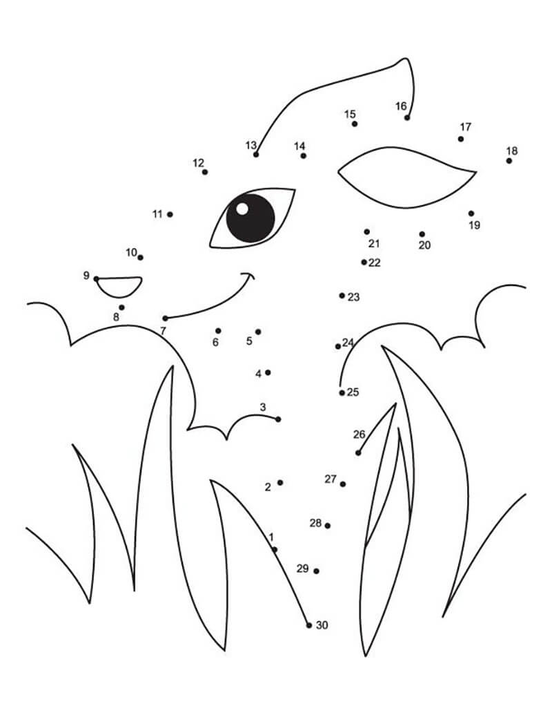 Deer In Grass Dot to Dot Worksheet Download Print Now 