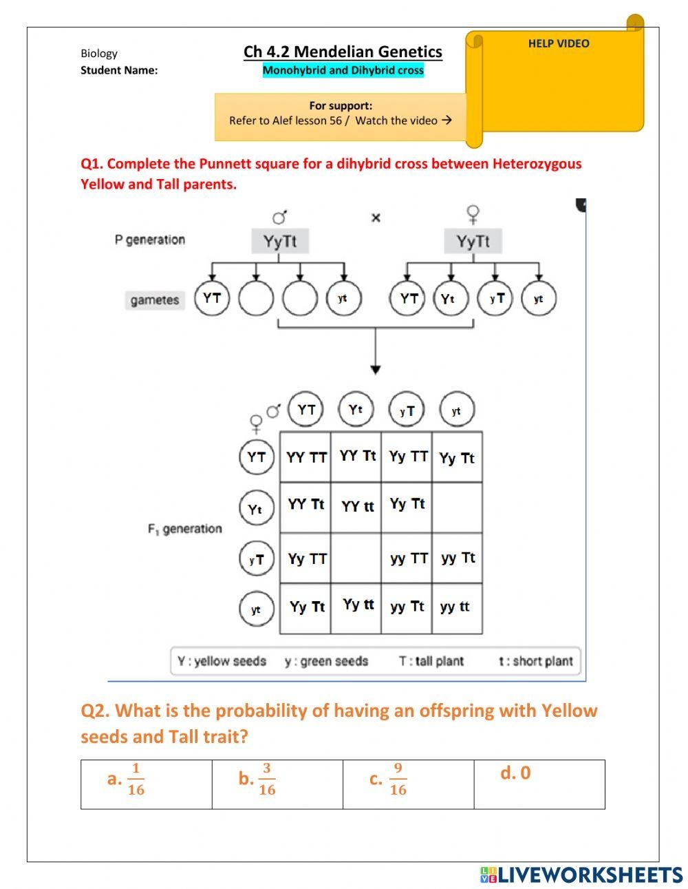 Dihybrid Cross Practice Worksheet With Answer Key Laney Lee Dihybrid Cross Practice Worksheet With Answer Key Laney Lee