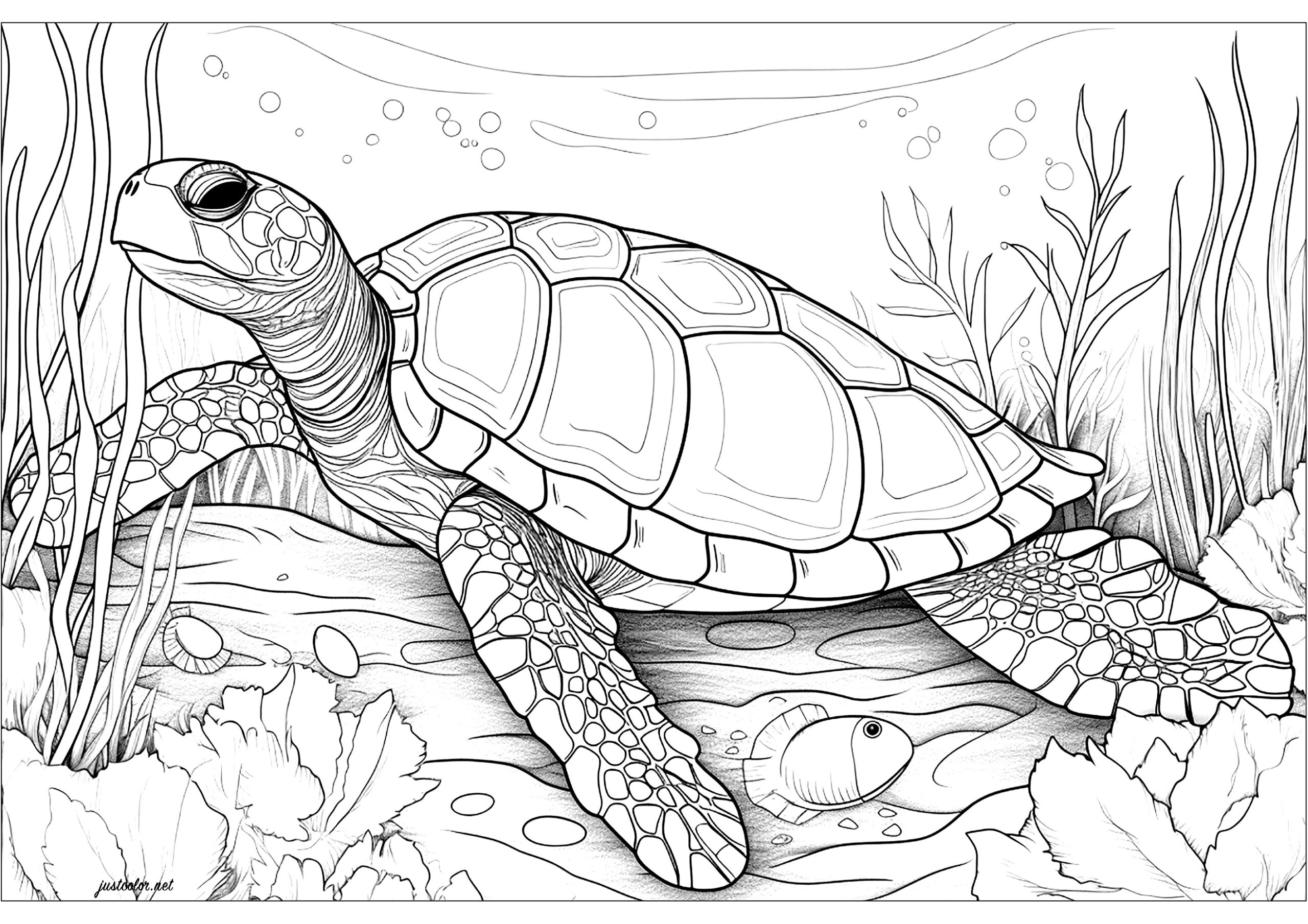 Dive Into Tranquility With Mandala Sea Turtle Coloring Pages
