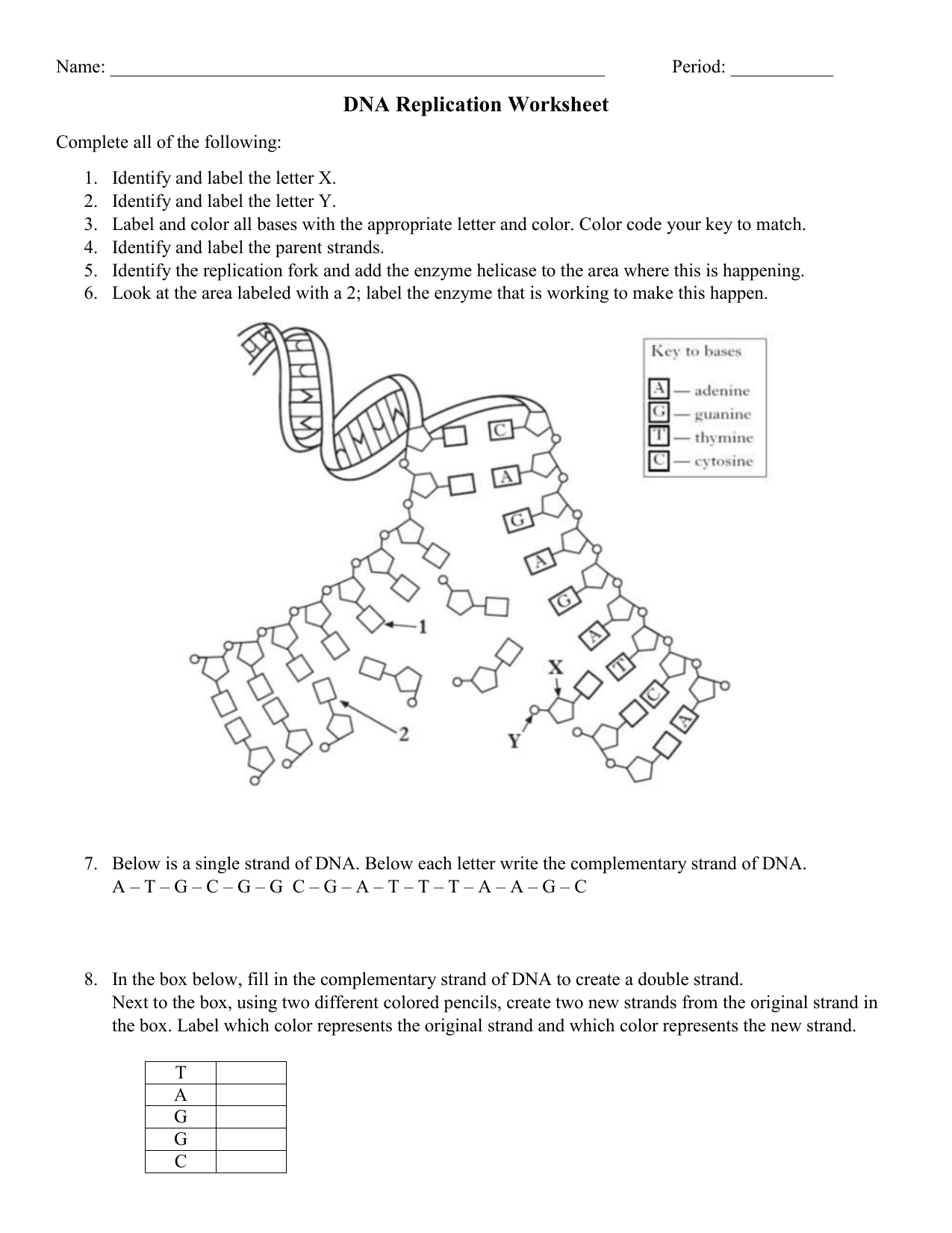 dna replication worksheet dna replication worksheet