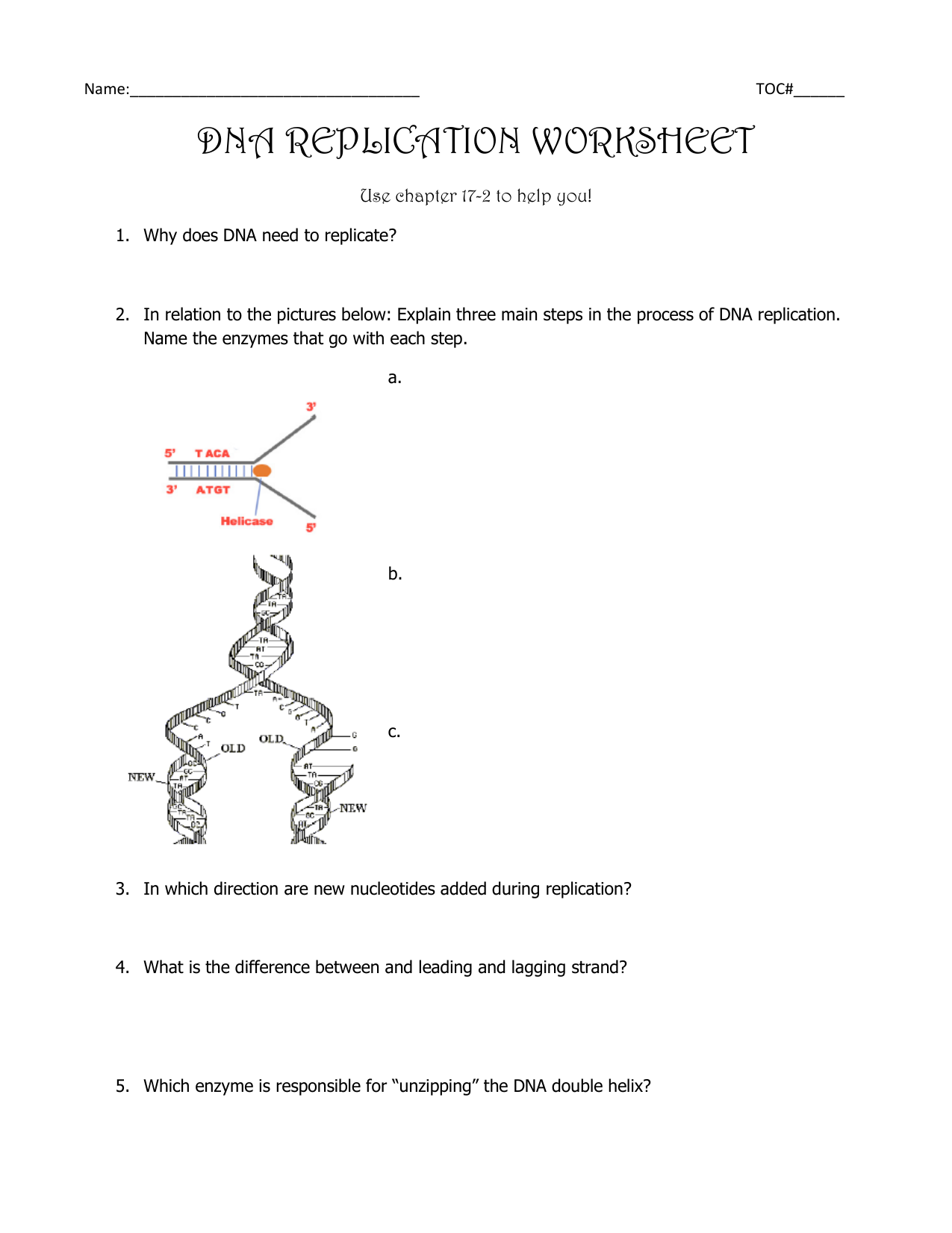 dna structure and replication worksheet