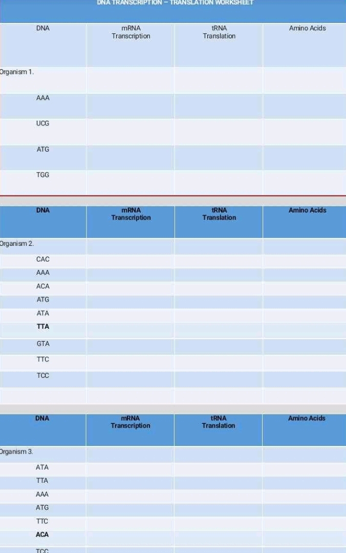 DNA TRANSCRIPTION TRANSLATION WORKSHEET StudyX Worksheets Library DNA TRANSCRIPTION TRANSLATION WORKSHEET StudyX Worksheets Library
