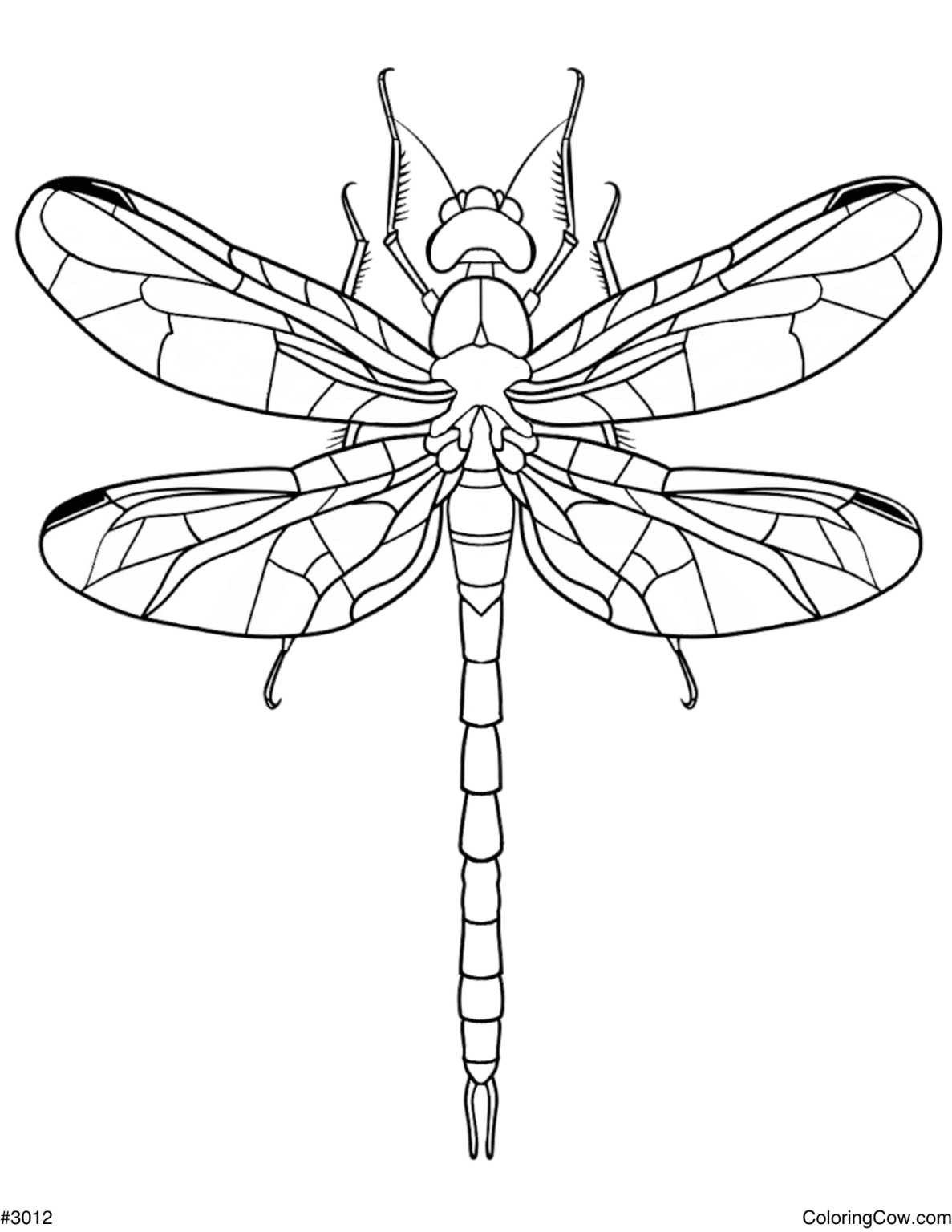 Dragonfly Coloring Page