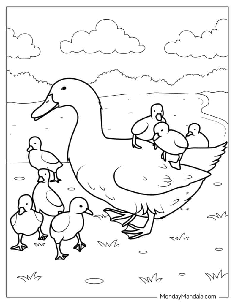 Duckling Coloring Page Duckling Coloring Page