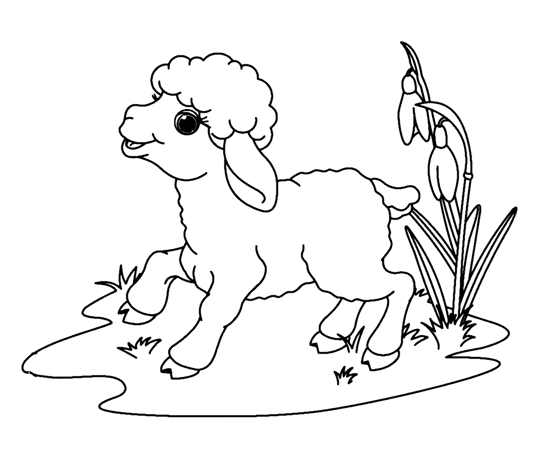 Easter Lamb Coloring Page Free Printable Coloring Pages Easter Lamb Coloring Page Free Printable Coloring Pages