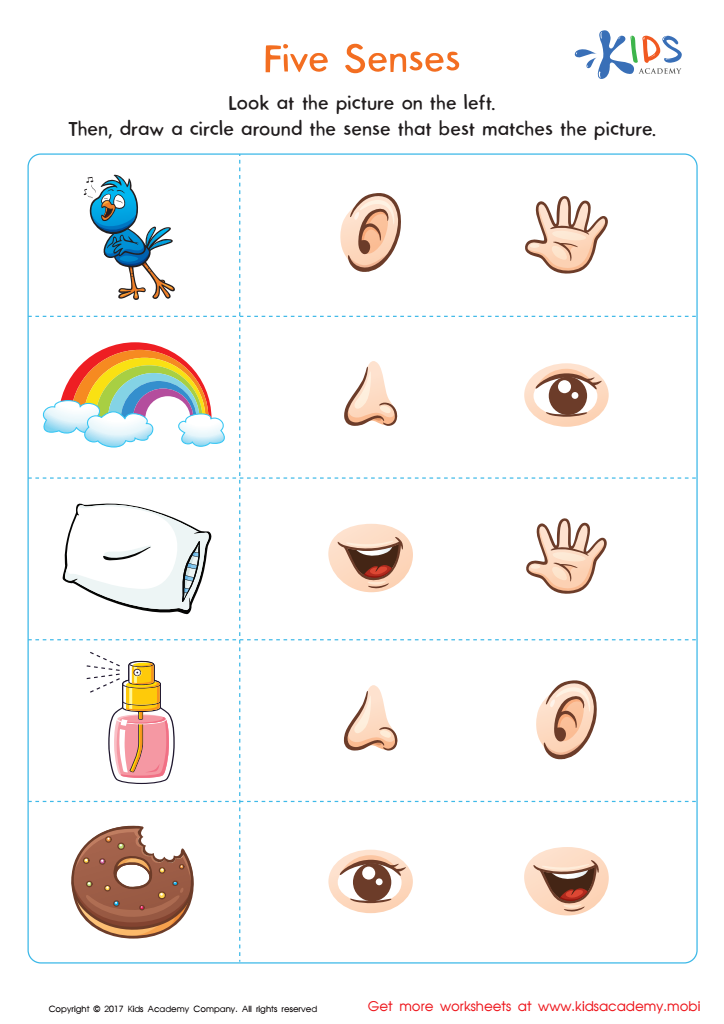 Engage The Senses Interactive Worksheets For Exploring The Five Senses Engage The Senses Interactive Worksheets For Exploring The Five Senses