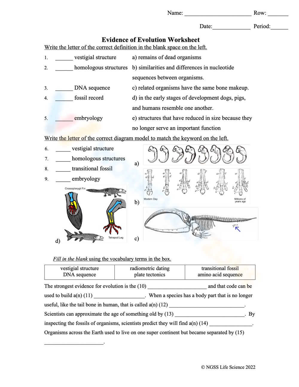 evidence of evolution worksheet
