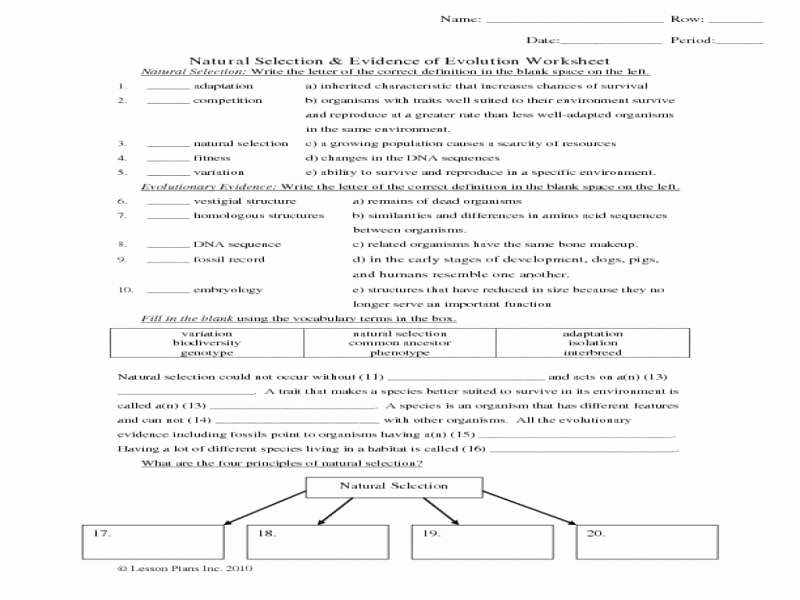 Evidence Of Evolution Worksheet New Evidence Evolution Worksheet 