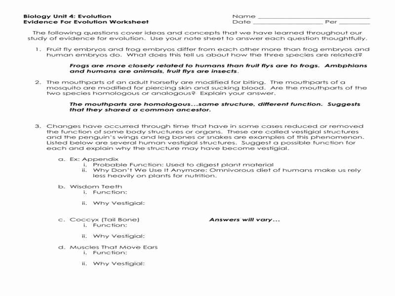 Evidence Of Evolution Worksheet New Evidence Evolution Worksheet 