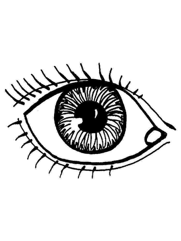 Eyes Coloring Pages Eyes Coloring Pages