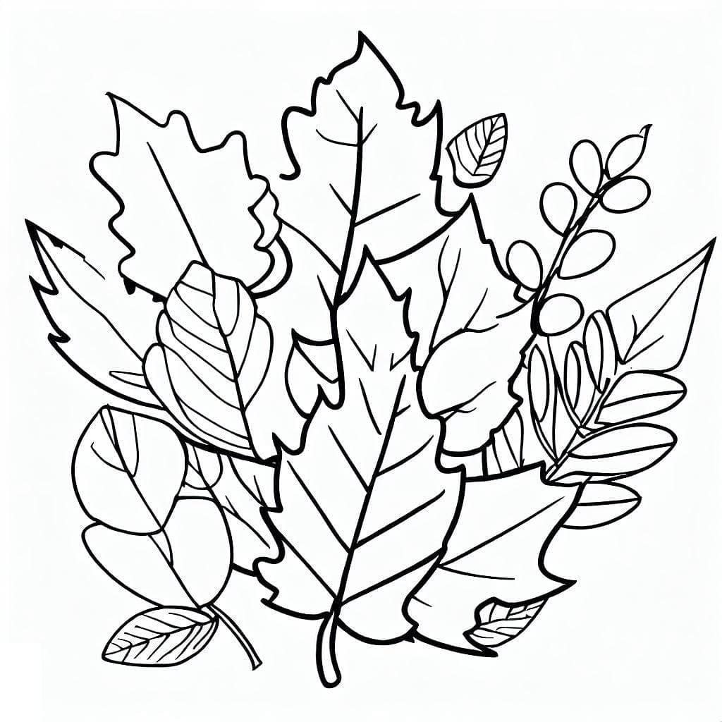 Fall Autumn Leaves Coloring Pages ColoringLib