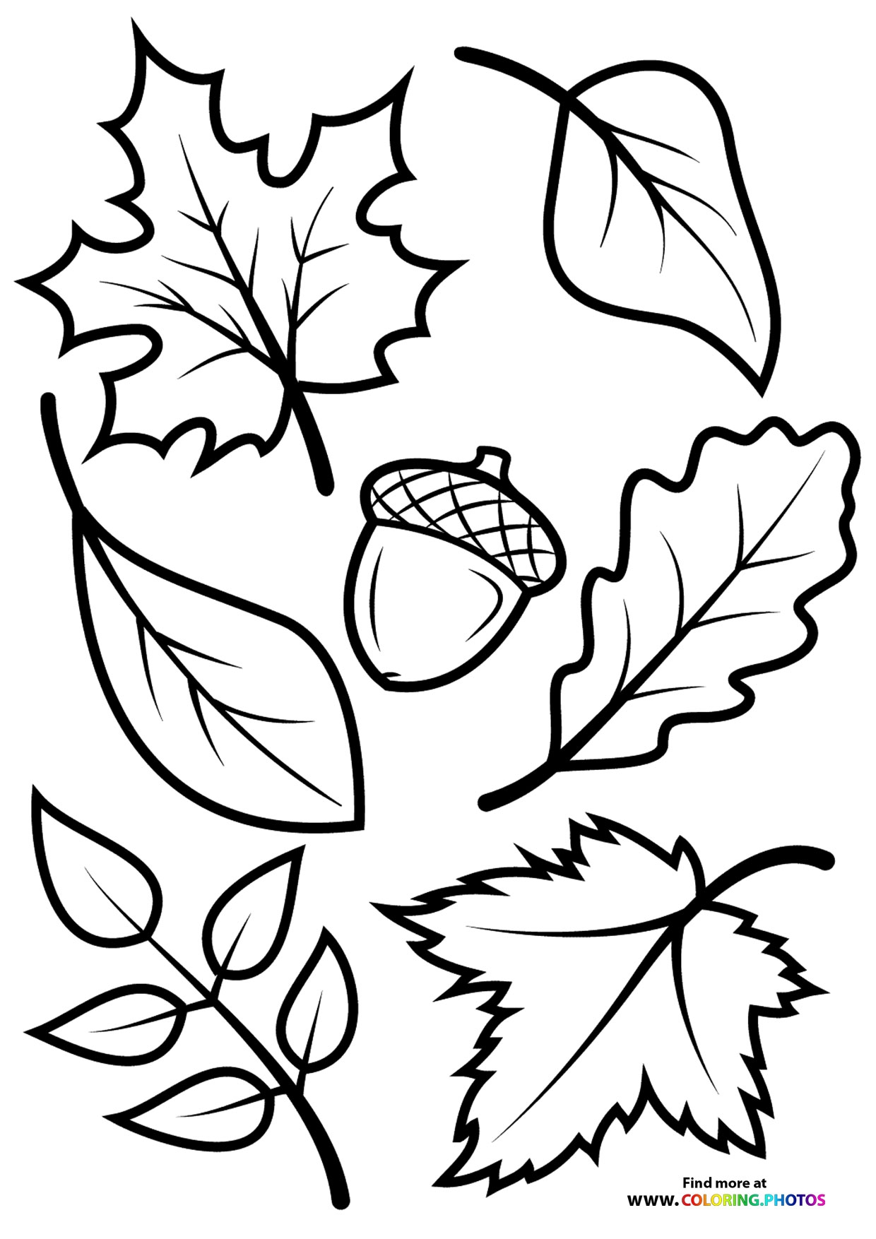 Fall Leaves Coloring Pages For Kids