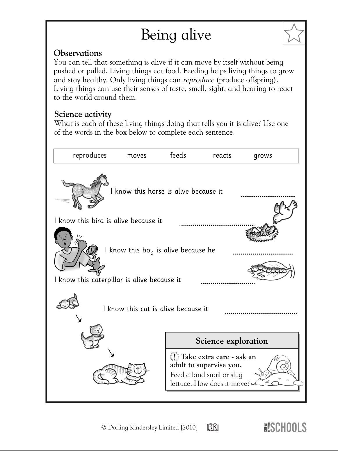 First Grade Printable Science Worksheets Scienceworksheets First Grade Printable Science Worksheets Scienceworksheets