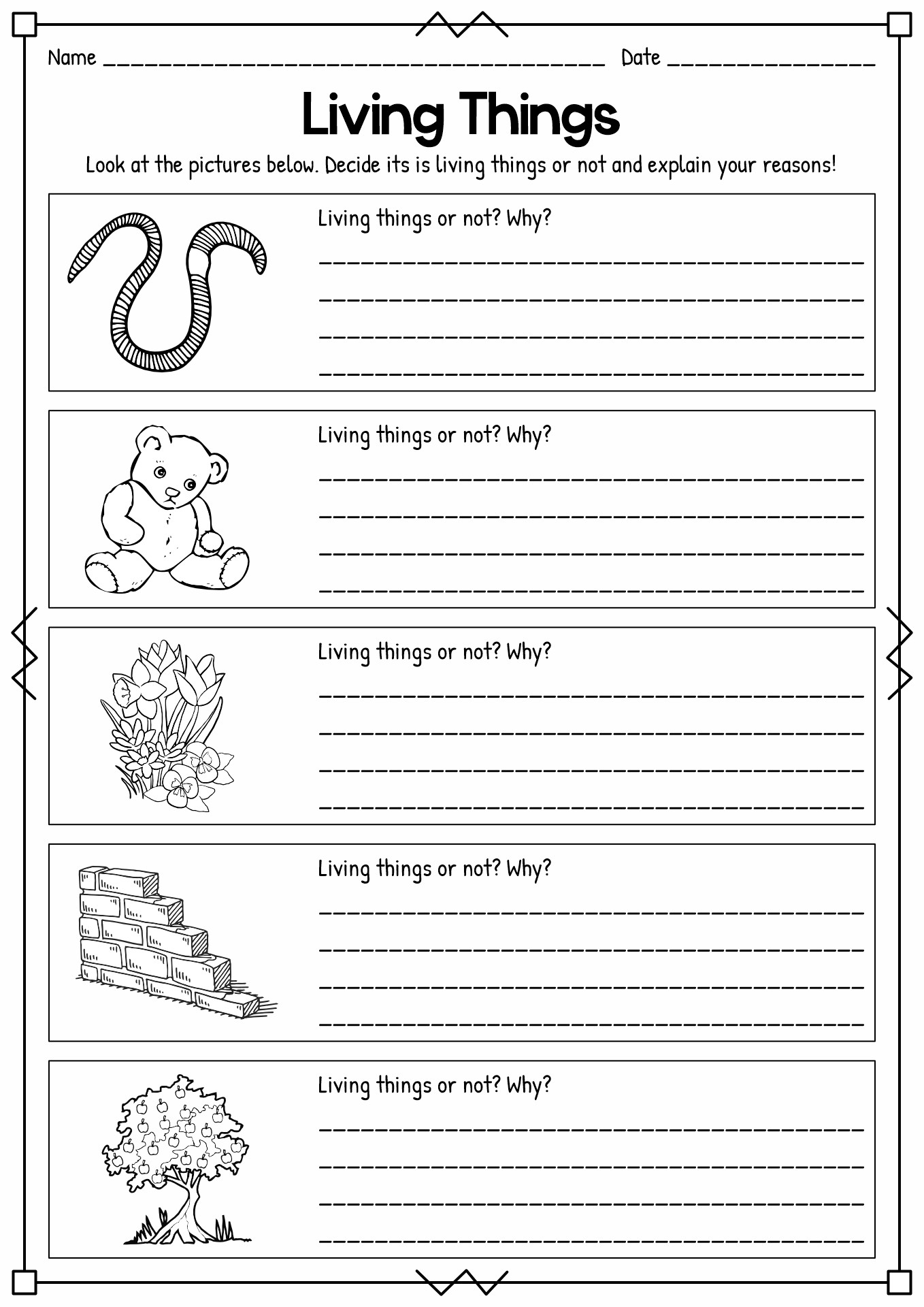 First Grade Printable Science Worksheets First Grade Printable Science Worksheets