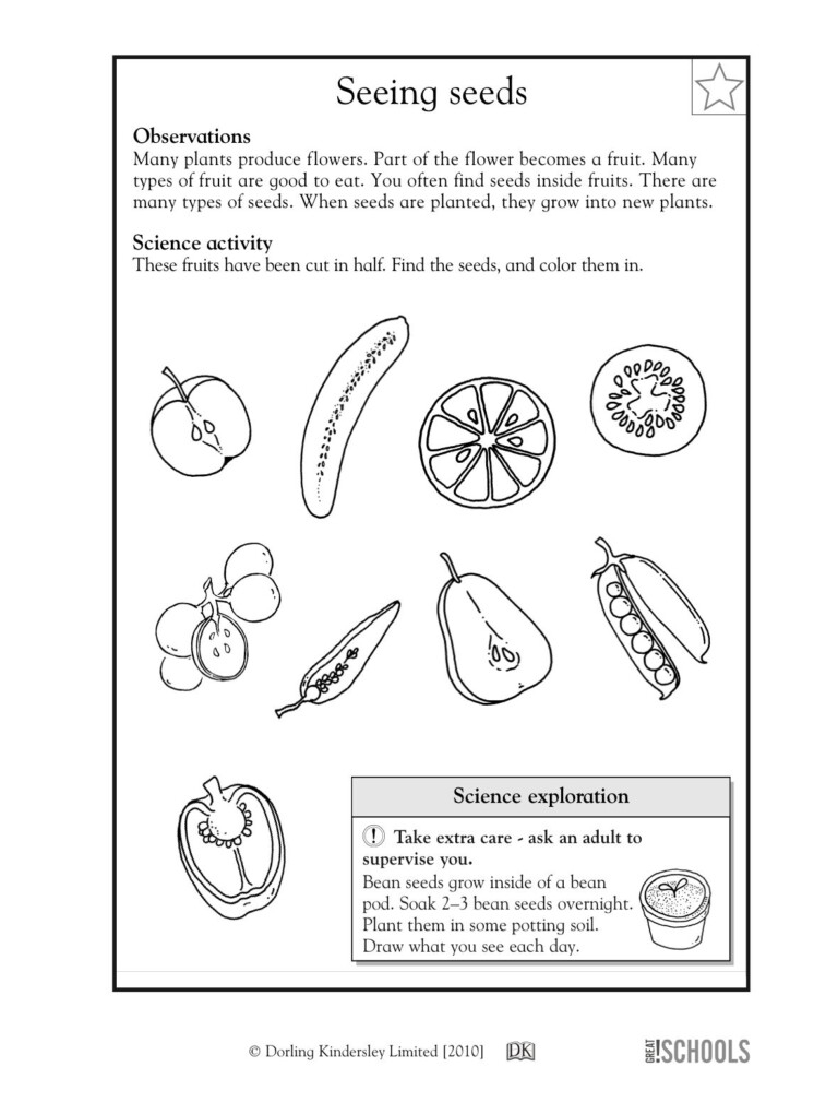 science worksheets for grade 1 science worksheets for grade 1
