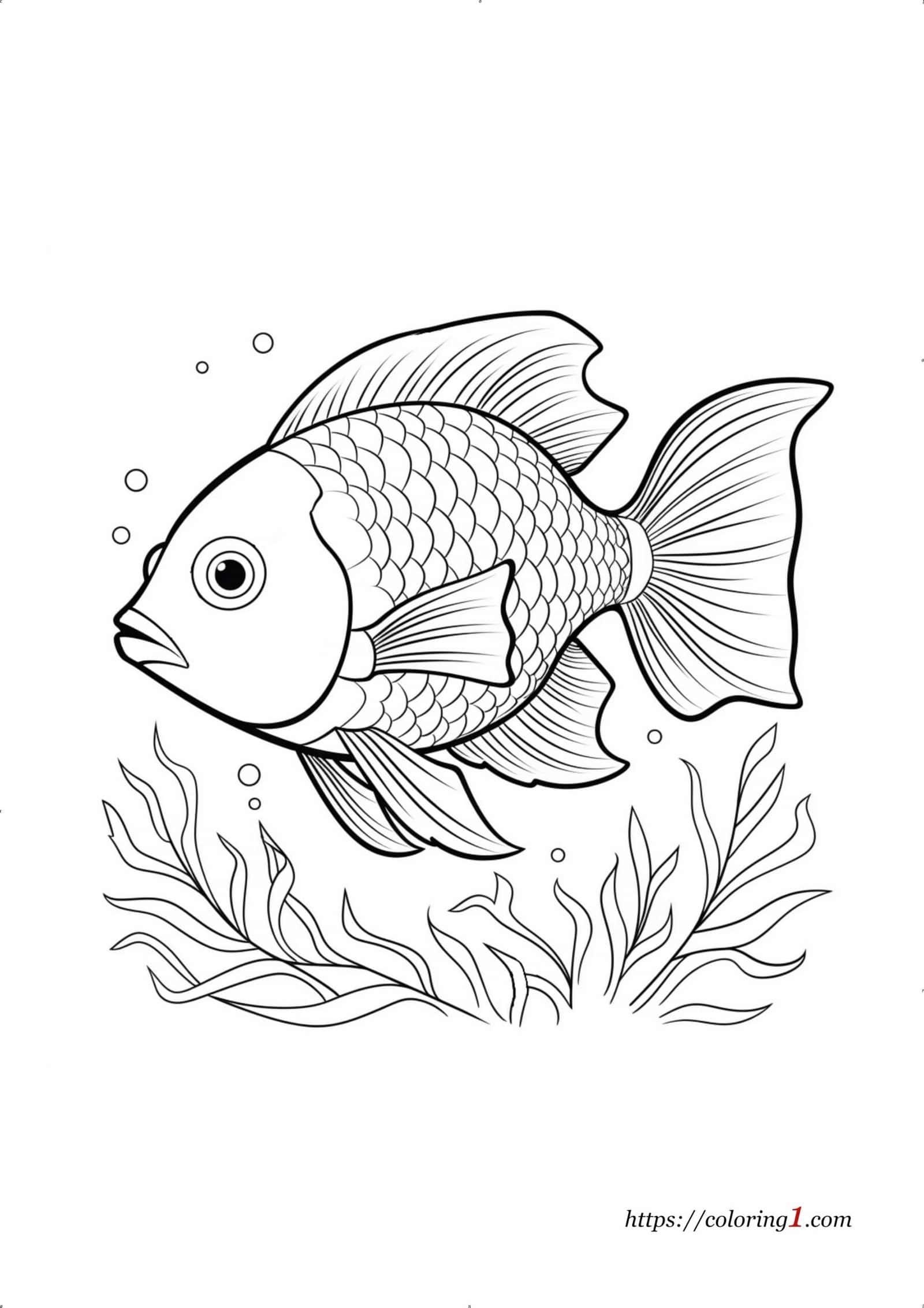 Fish Coloring Pages 39 Free Printable Coloring Sheets Fish Coloring Pages 39 Free Printable Coloring Sheets