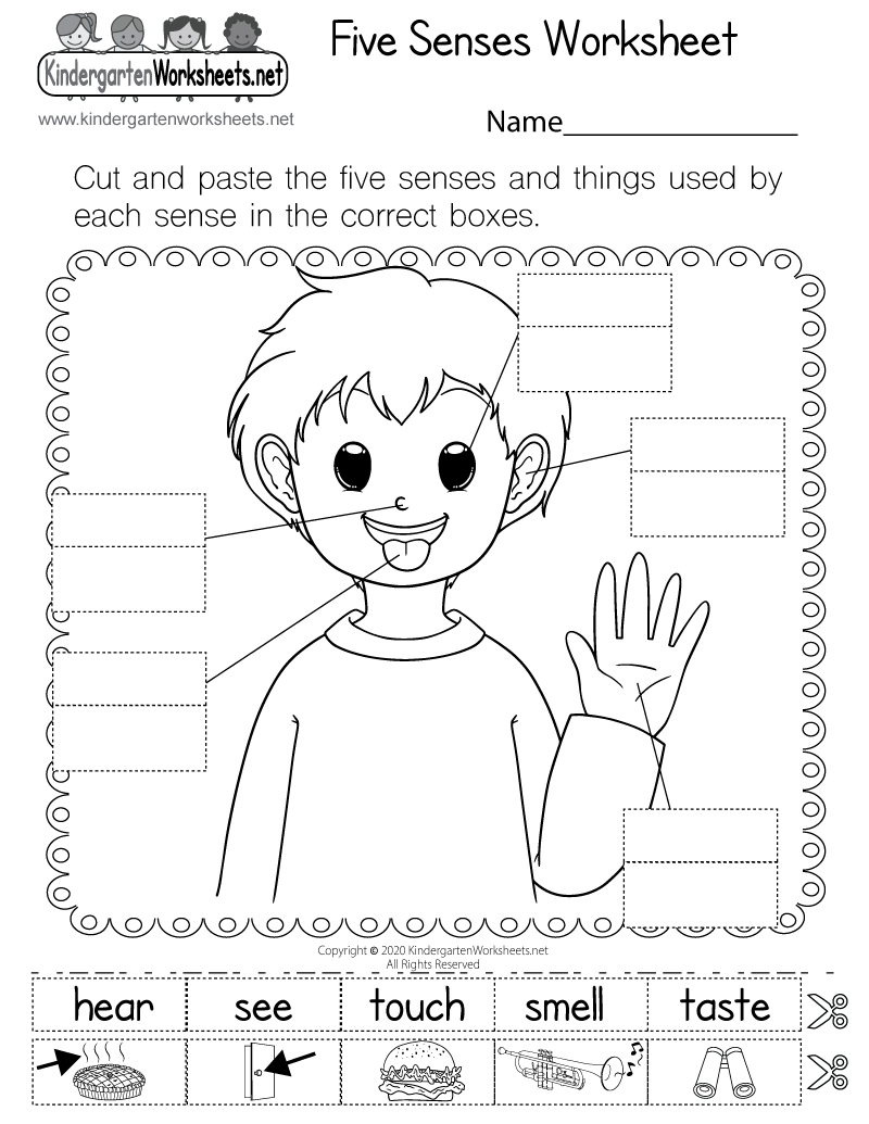 five senses worksheet five senses worksheet