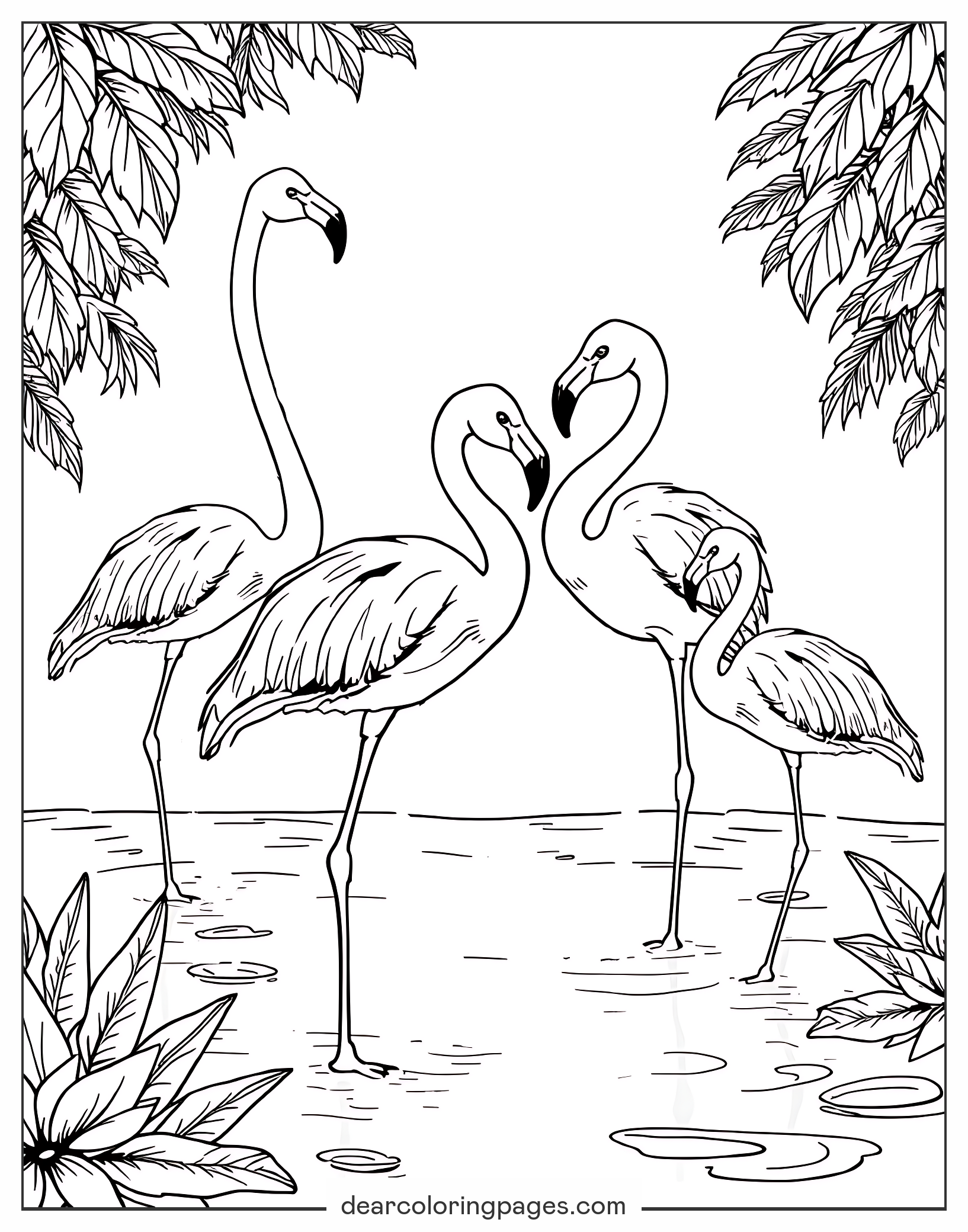 flamingo coloring page flamingo coloring page