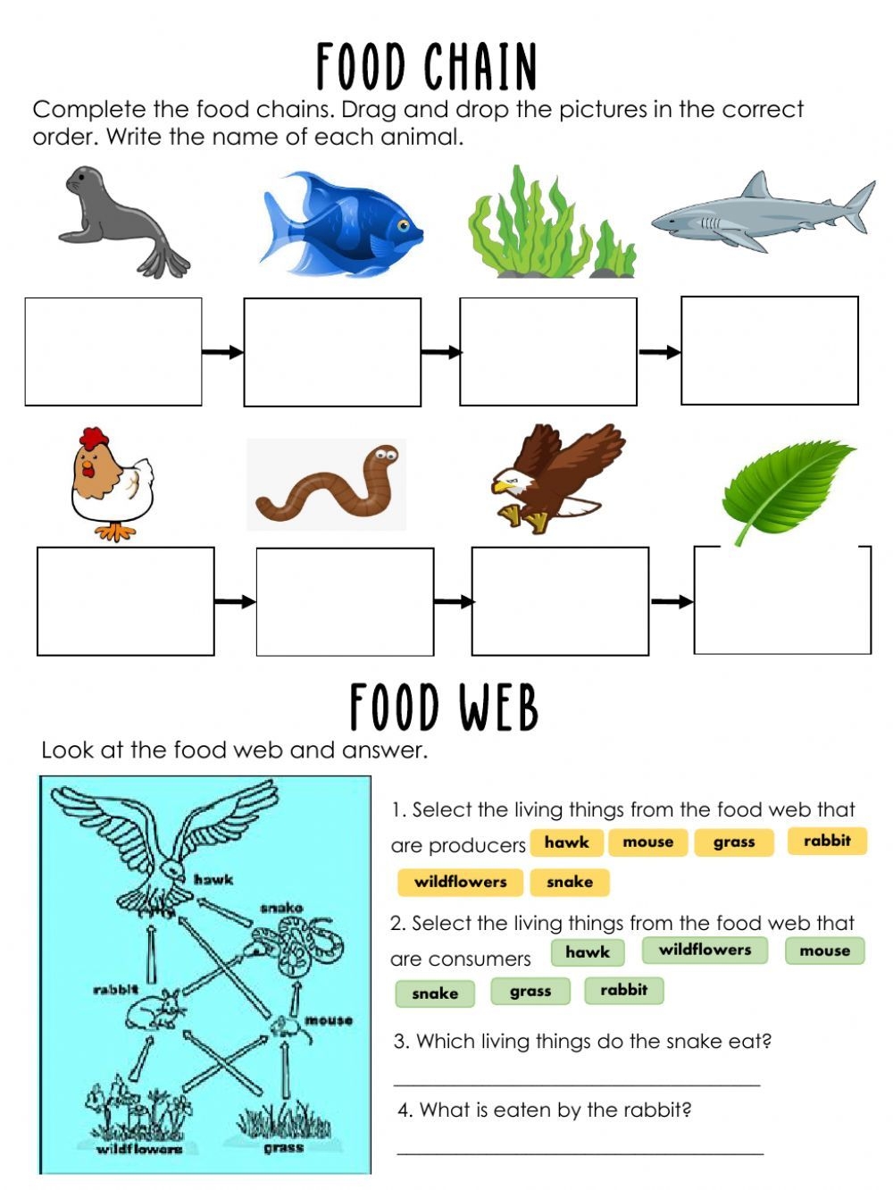 Food Chain Interactive Exercise Food Chain Worksheet Food Chain 