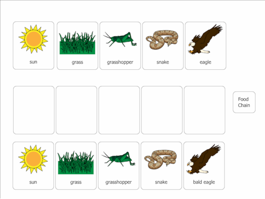 Food Chain Worksheets Worksheets Library