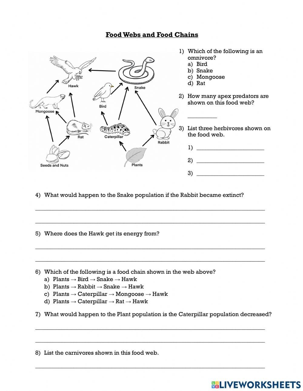 Food Webs And Food Chains Worksheets Free Pintables Worksheets Library
