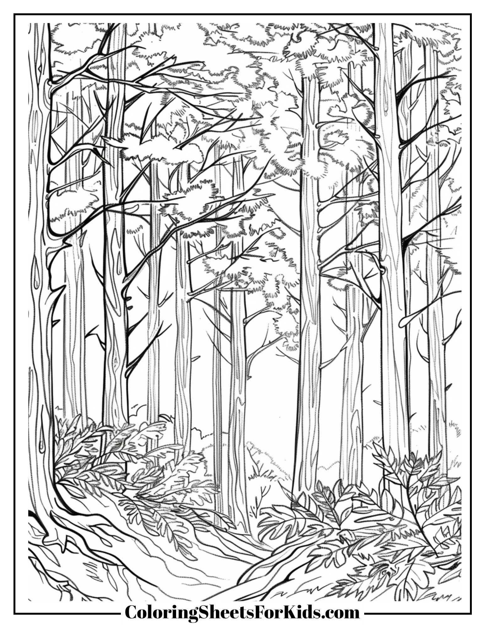 Forest Coloring Pages Free Downloads Coloring Sheets For Kids