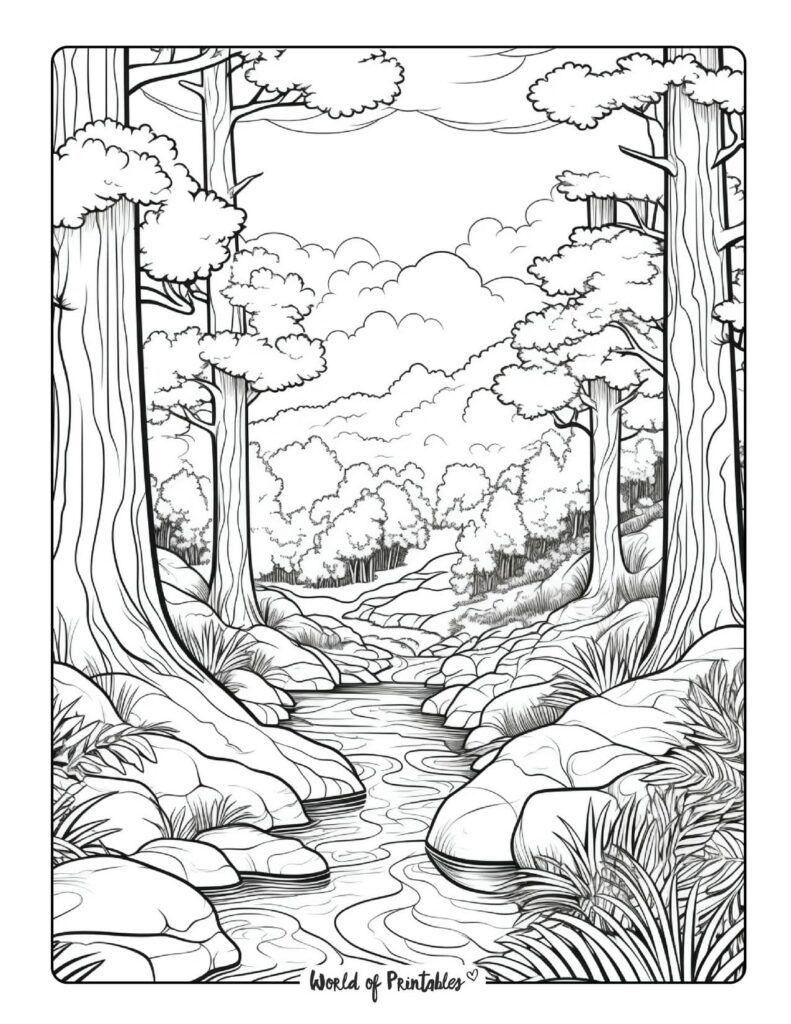 Forest Coloring Pages World Of Printables