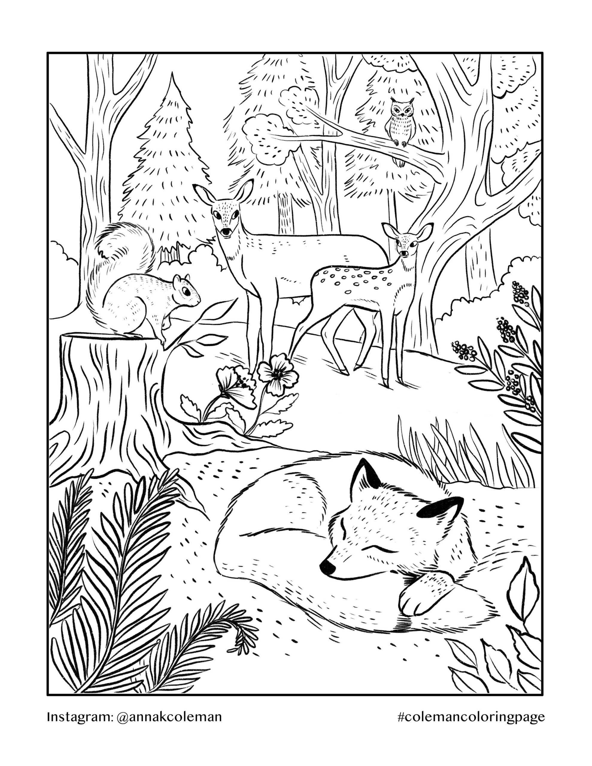 Forestry Coloring Pages 2025 