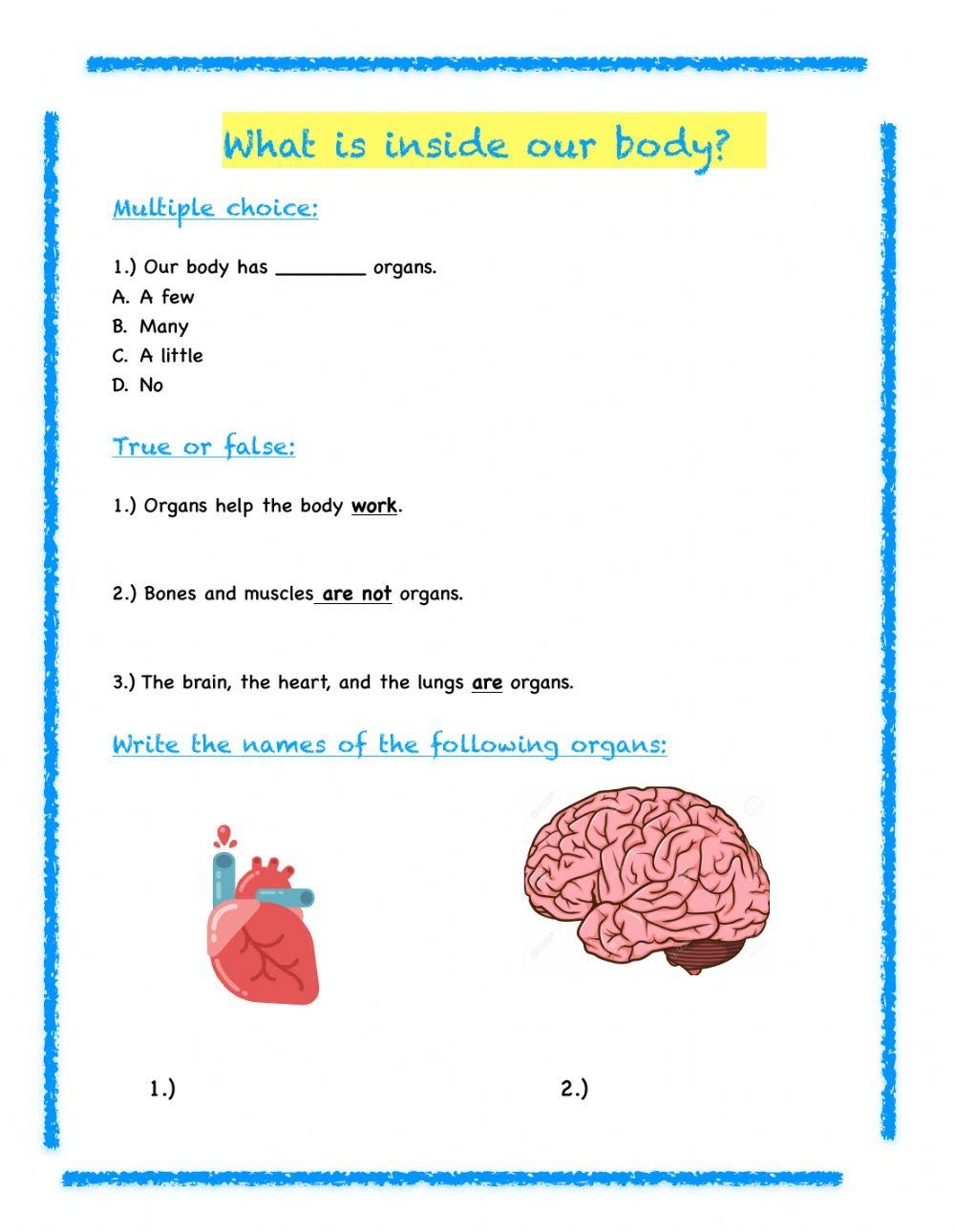 Free 3 Grade Science Worksheet Download Free 3 Grade Science Worksheet 
