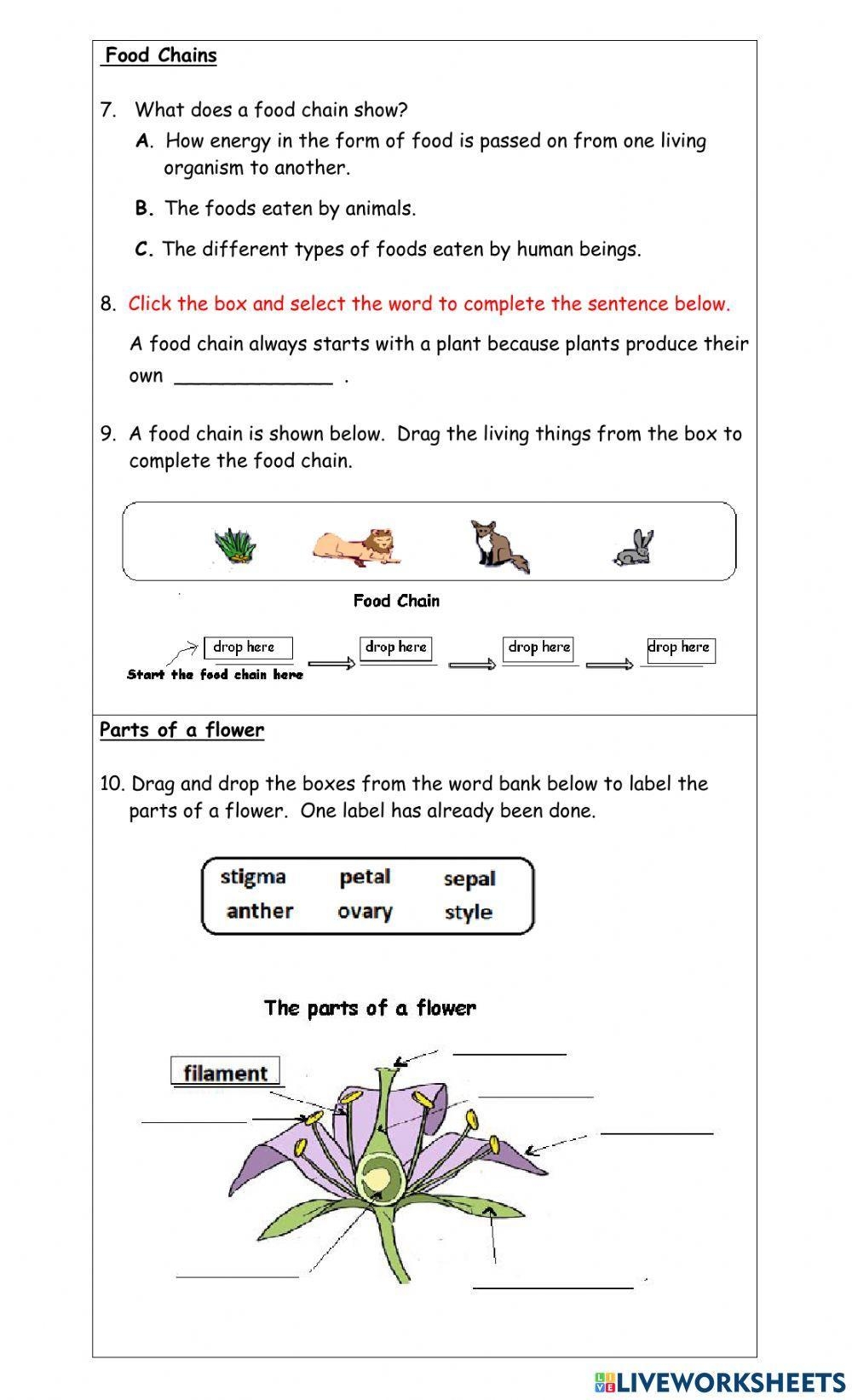 Free Grade 3 Science Worksheet Download Free Grade 3 Science Worksheet 