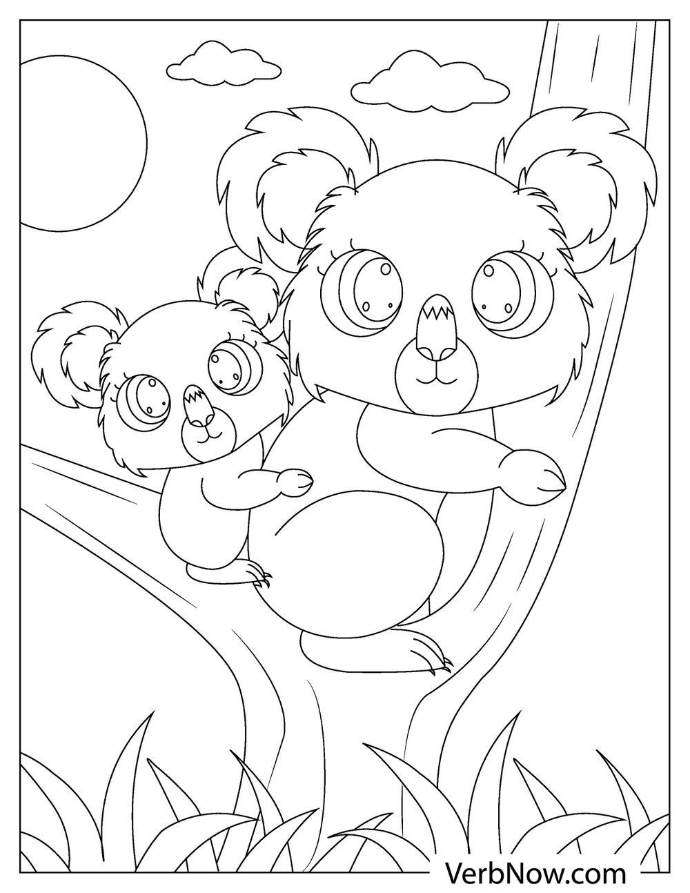 koala coloring pages