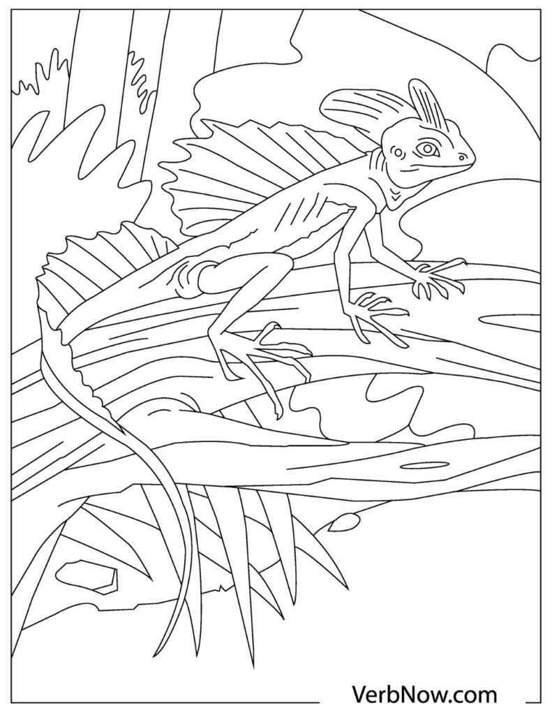 lizard coloring page lizard coloring page