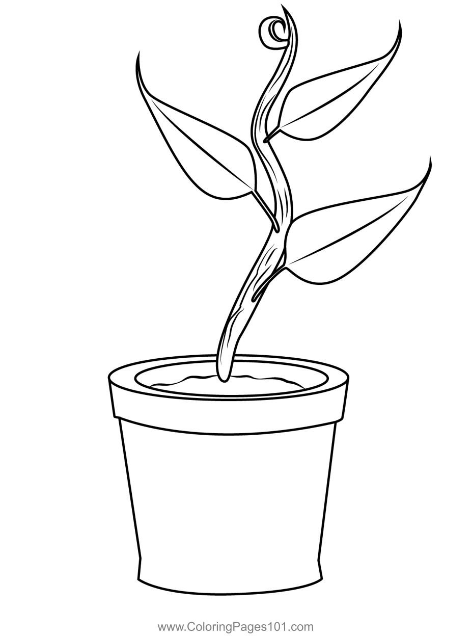 coloring pages for plants