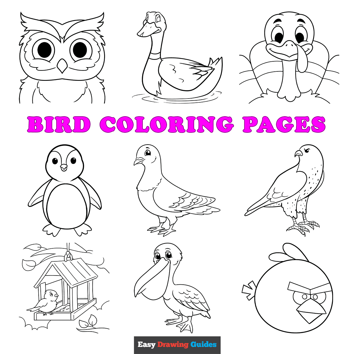 Free Printable Bird Coloring Pages For Kids Free Printable Bird Coloring Pages For Kids