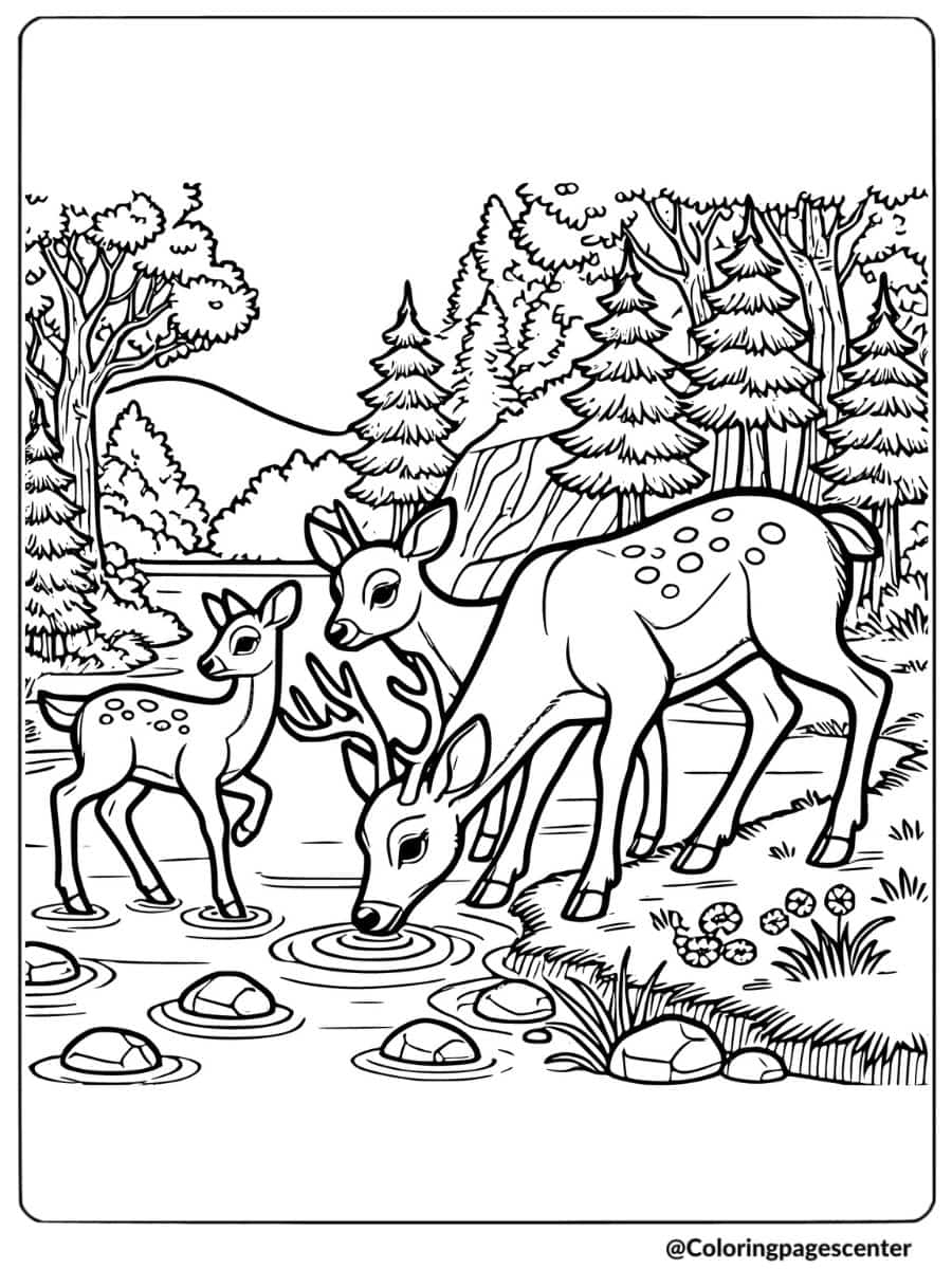 Free Printable Deer Coloring Pages