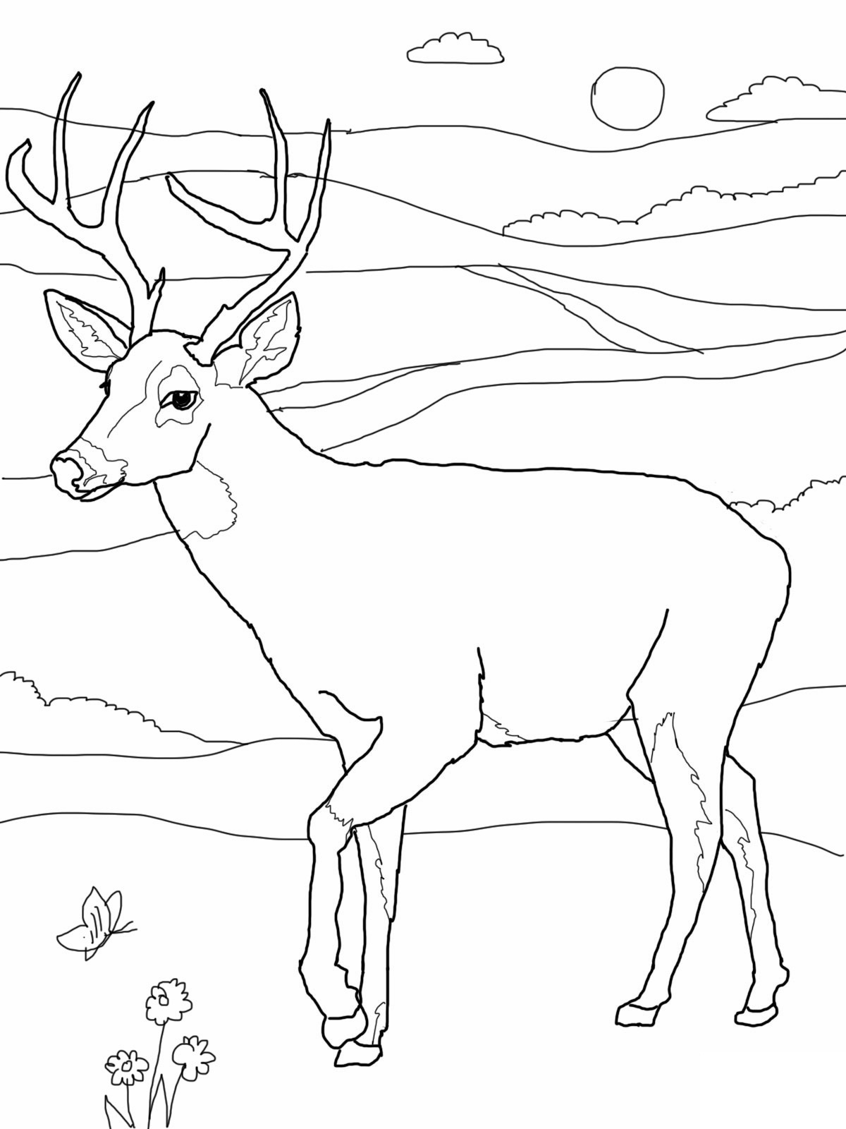 Free Printable Deer Coloring Pages For Kids Free Printable Deer Coloring Pages For Kids