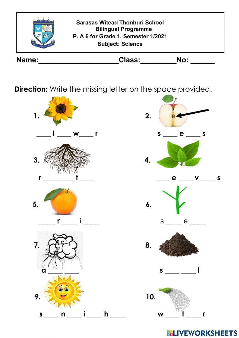 Free Printable First Grade Science Worksheets Free Printable First Grade Science Worksheets