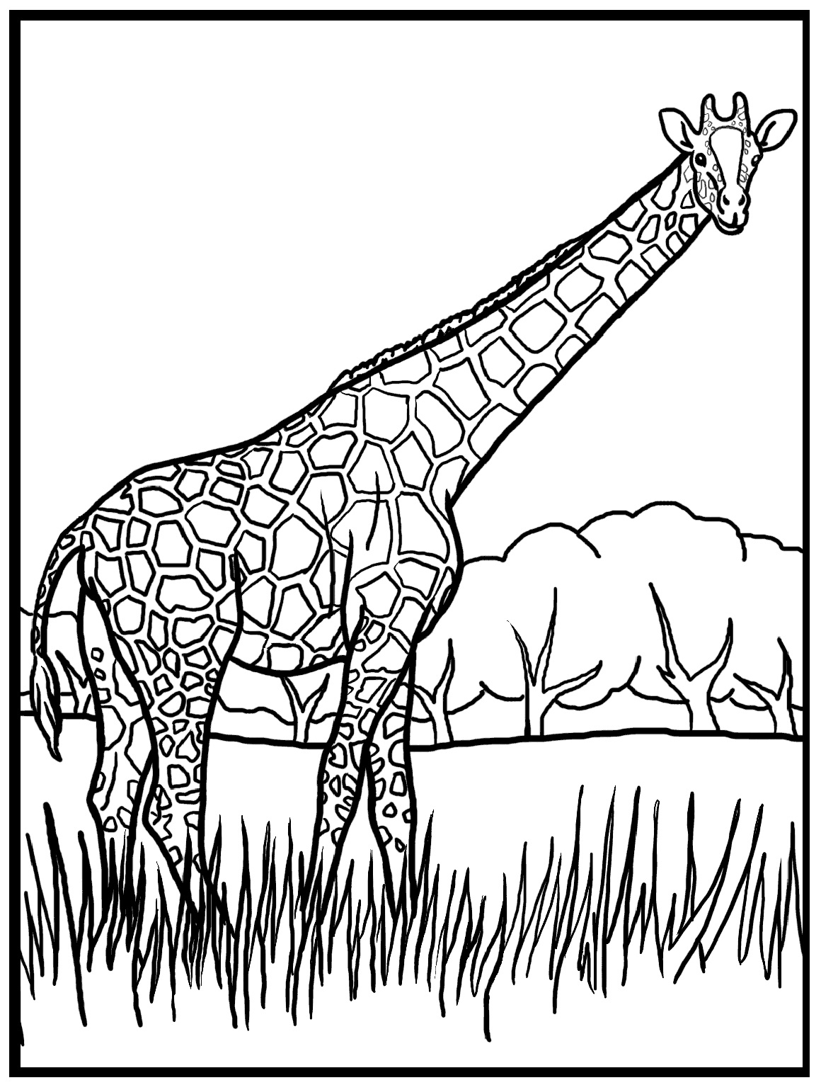 Free Printable Giraffe Coloring Pages For Kids Free Printable Giraffe Coloring Pages For Kids