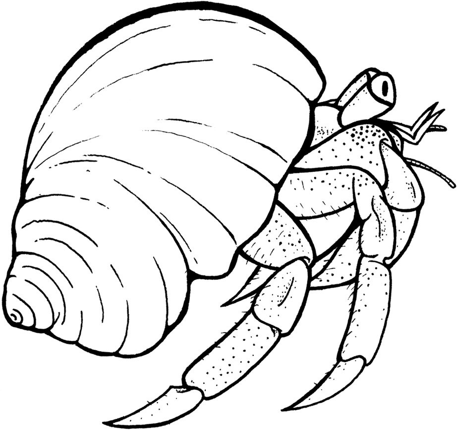 crab coloring pages