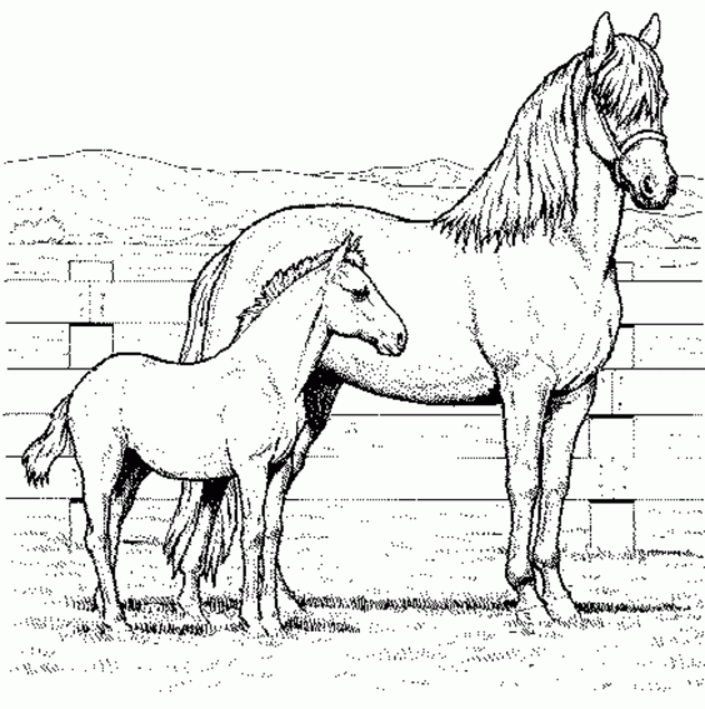 printable coloring pages of horses printable coloring pages of horses
